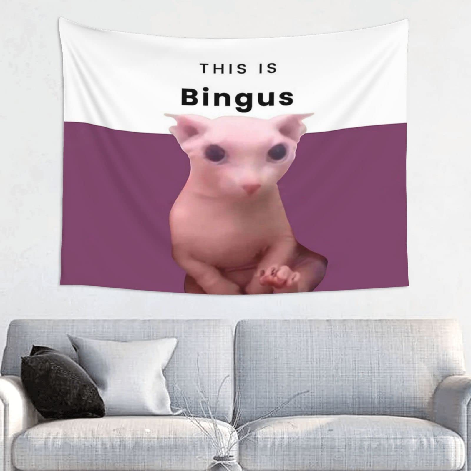 This Is Bingus Tapestry Funny Tapestrys 29x37in Meme Tapestries Wall Hanging Art Poster For Bedroom Living Room