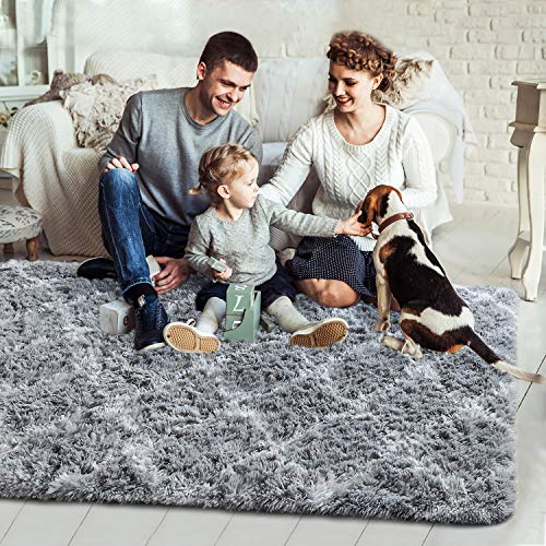 image for Wondo Luxury Velvet Shag Area Rug Modern Fluffy Fur Rugs,Premium Geome