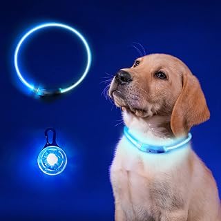 Light Up Dog Collar,Dog Collar Light,USB Charging LED Dog Light,Three Flash Modes,Glow in The Dark Night Walking Pet Collar Can be Cut Suitable for All Dogs.(with LED Collar Light).