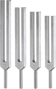 Biosonics Set of 4 Leonardo Tuning Forks - Includes 4 Tuning Forks, Pamphlet, Velvet Pouch/Tuned According to da Vincis Vitruvian Man & the Geometric Proportions of the Human Body/Great for Sou