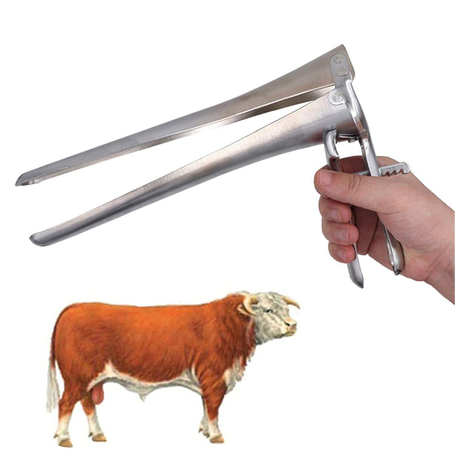 Spéculum Vaginal Pour Vache - Dilatateur Bovin - Ouvre-bétail Vétérinaire - Neuf