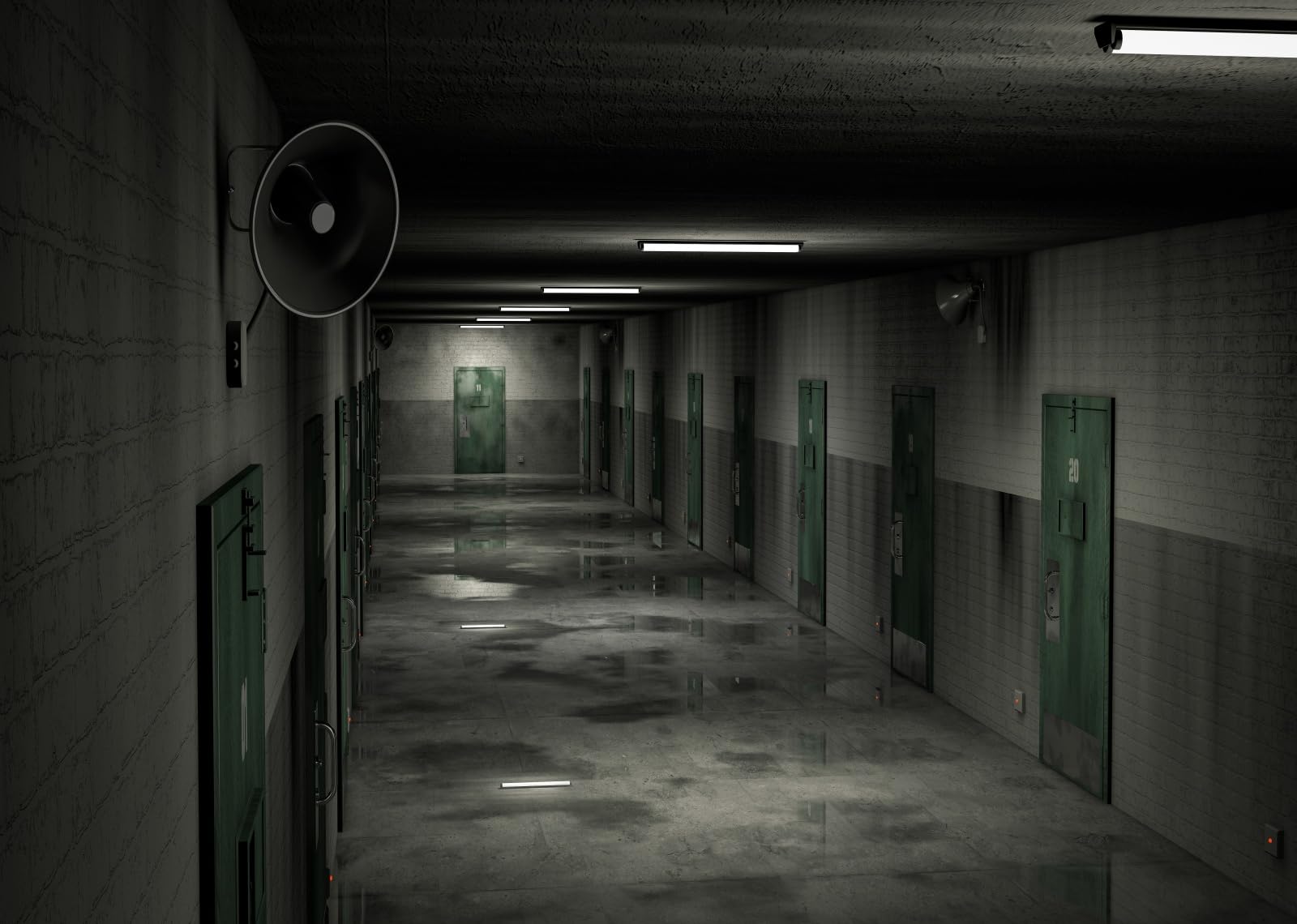 12x10FT (3.6x3m) Corridoio Scuro Con Porte Verdi Sfondo Fotografico