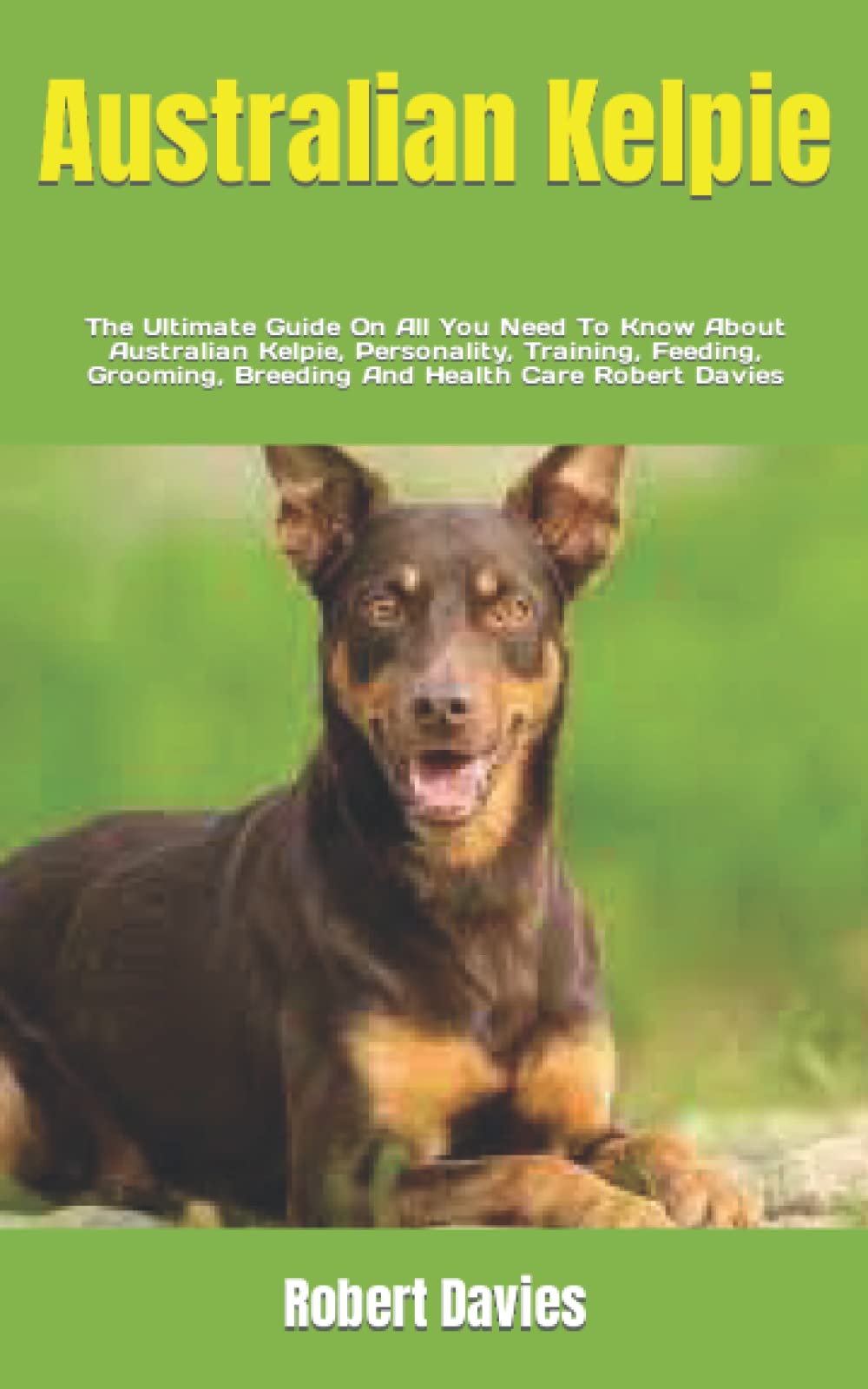 Buy Australian Kelpie The Ultimate Guide On All You Need To Know About