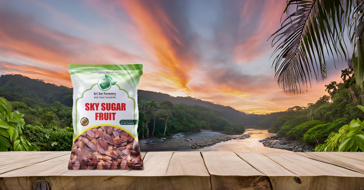 SRI SAI FORESTRY Sky Sugar Fruit - Kadwa Sugar Badam - Sugar Mahogany, 50 to 80 Unpeeled Seeds, Monthly Pack 4