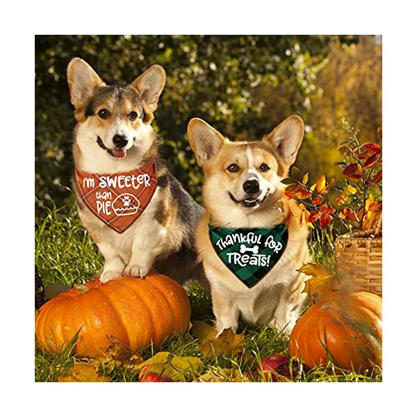 3 pack thanksgivng dog bandana, fall classic plaid halloween christmas xmas autumn triangle bandanas scarf bibs kerchief gift set - pet holiday accessories decoration for small to large dogs cats pets - image 6