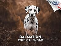 Vista 47 de Razas de Perros 2017