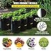 VEVOR DWC Hydroponic System, 5 Gallon 8 Buckets, Deep Water Culture Growing Bucket, Hydroponics Grow Kit with Pump, Air Stone and Water Level Device, for Indoor/Outdoor Leafy Vegetables