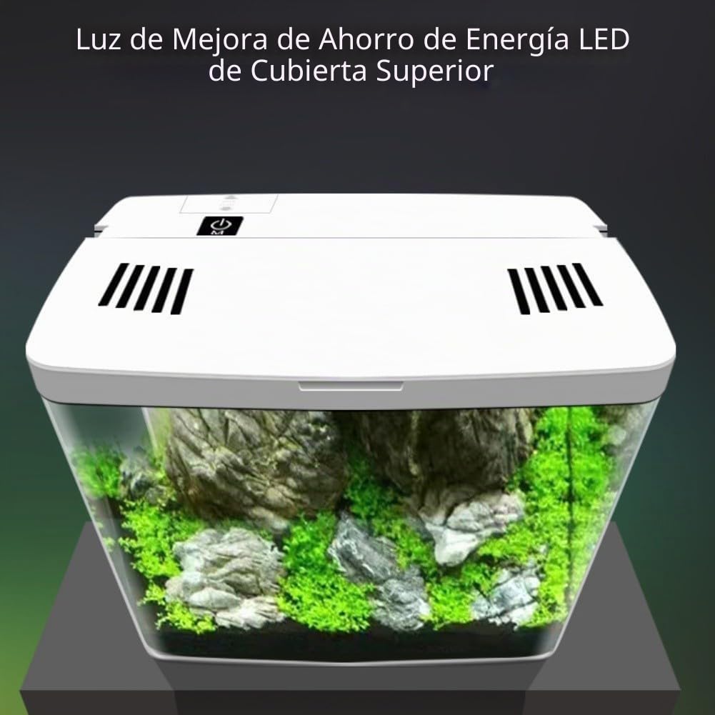 Zoegneer Acuario de pecera de escritorio para peces pequeños Betta con tanque de peces con luces LED integradas Bomba silenciosa Sistema de filtración de múltiples etapas (blanco)