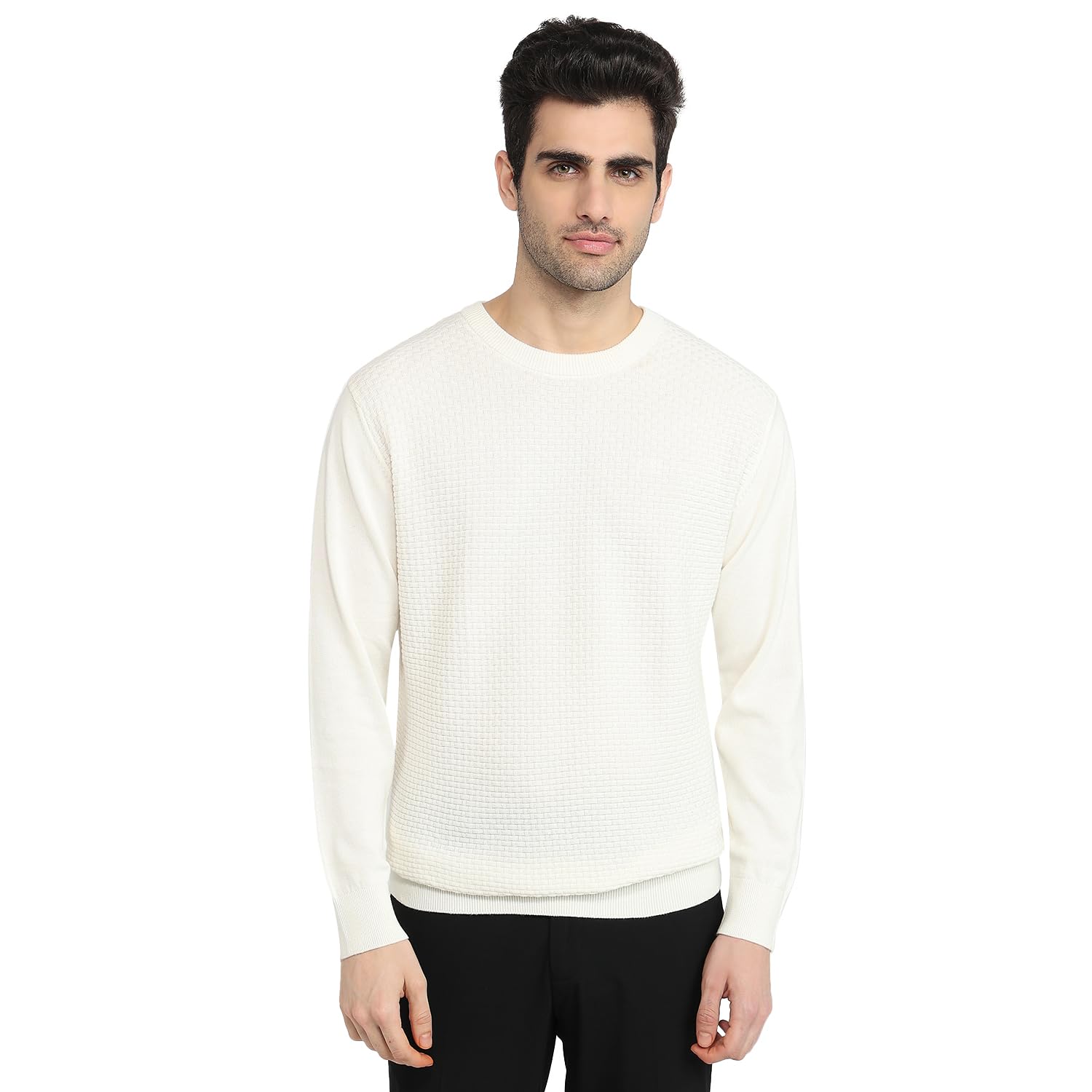 colorplus Men Regular Fit Jacquard Pattern Pure Cotton Full Sleeve Round Neck Casual Sweater White-picture-40