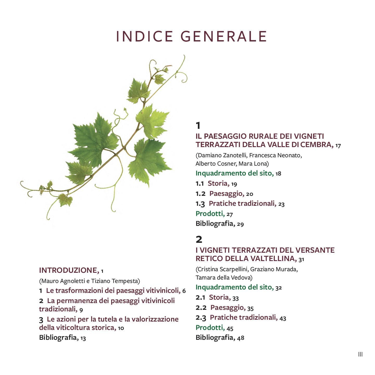 Viticoltura storica ed eroica. I paesaggi rurali storici d'Italia. Ediz. a colori
