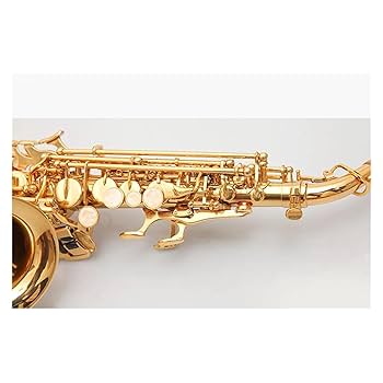 Amazon | 楽器のカーブドソプラノサックス BB ソプラノサックス