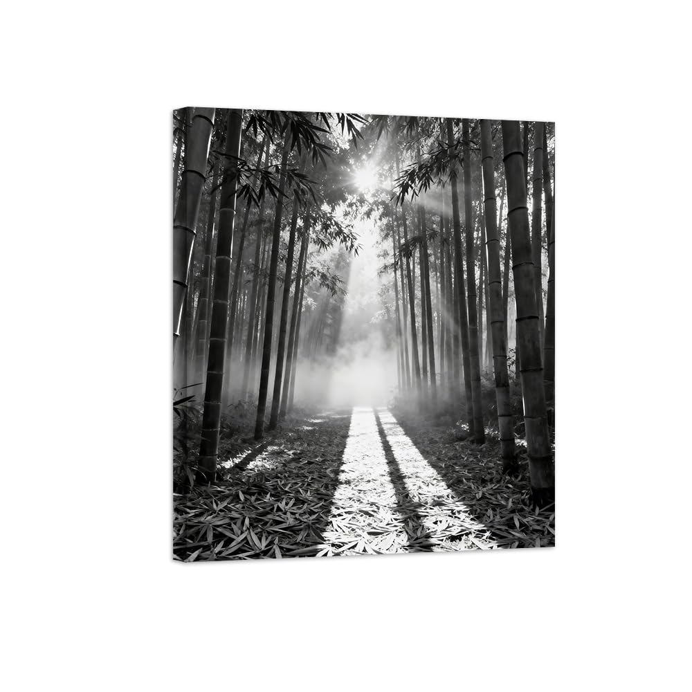 Black White Landscape Wall Art. Forest Sunshine 3. Picture 40x50cm Unframed