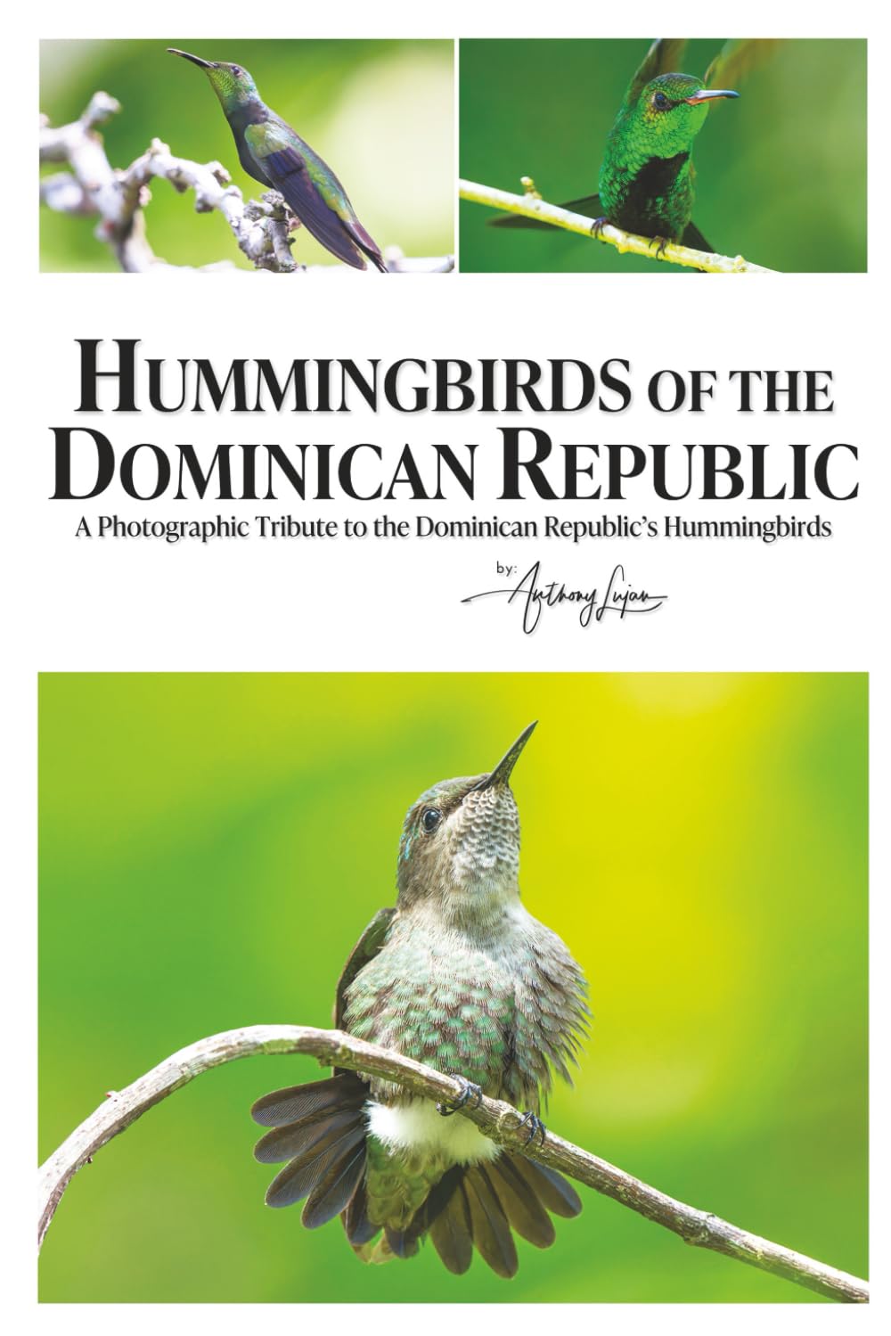 Hummingbirds of the Dominican Republic