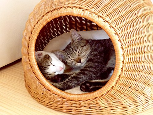 Amazon | 型番1002 籐ねこちぐら ラタン猫つぐら ペットハウス