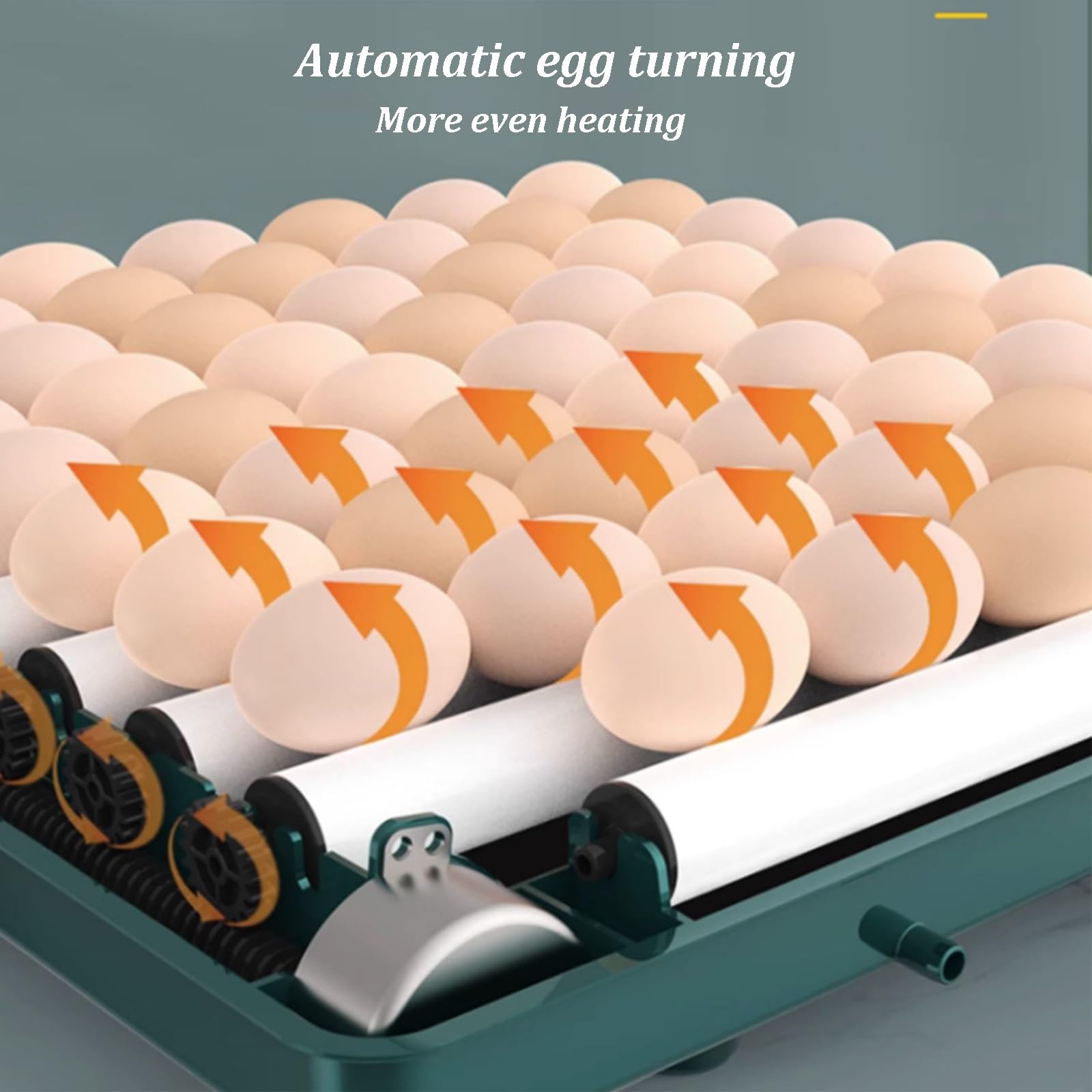 Incubatrici per Uova da Cova, Incubatrice per Uova con Indicatore di umidità, Specchiatore per Uova, Girauova Automatico, Incubatrice Automatica per Uova da Cova(9eggs)