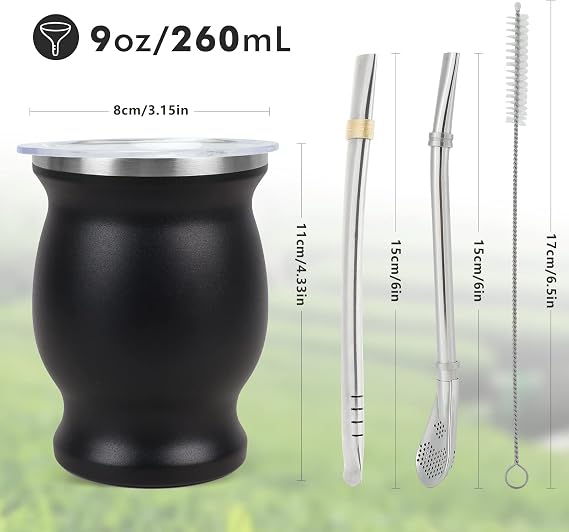 ROCKY&CHAO 9Oz Yerba Mate Gourd Set - Stainless Steel Modern Mate Cup, 2 Bombilla Straws, Cleaning Brush, BPA Free Lid, Double-Walled, Hot & Cold Drink, Coffee & Tea