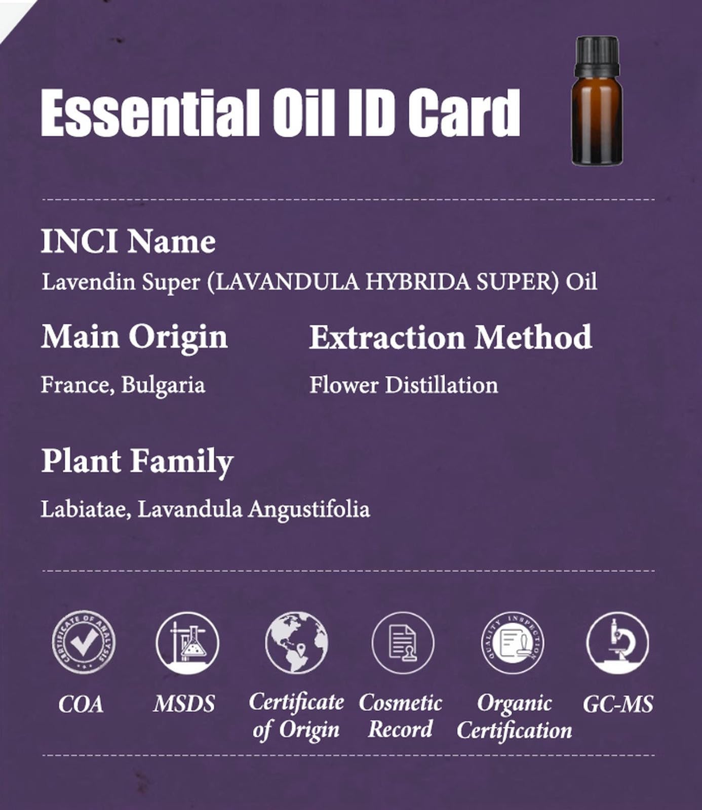 Aceite Esencial de Lavanda orgánico 100% Puro, de Grado terapéutico, para aromaterapia, difusores, Cuidado de la Piel y el Cabello, masajes corporales, jabón, Vela, Perfume, Bricolaje(1000ml)