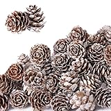 pigneto metro Panoramica del prodotto: set di 30 mini pigne naturali, perfettamente sagomate e ideali per la decorazione autunnale e invernale, Natale e festività. Le loro forme e motivi unici li rendono il materiale di bricolage popolare per progetti creativi