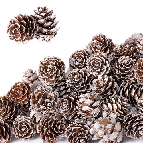 Esshogo Lot de 30 pommes de pin de 3 à 4 cm - Mini pommes de pin de Noël - Décoration naturelle - Pommes de pin - Décoration blanche