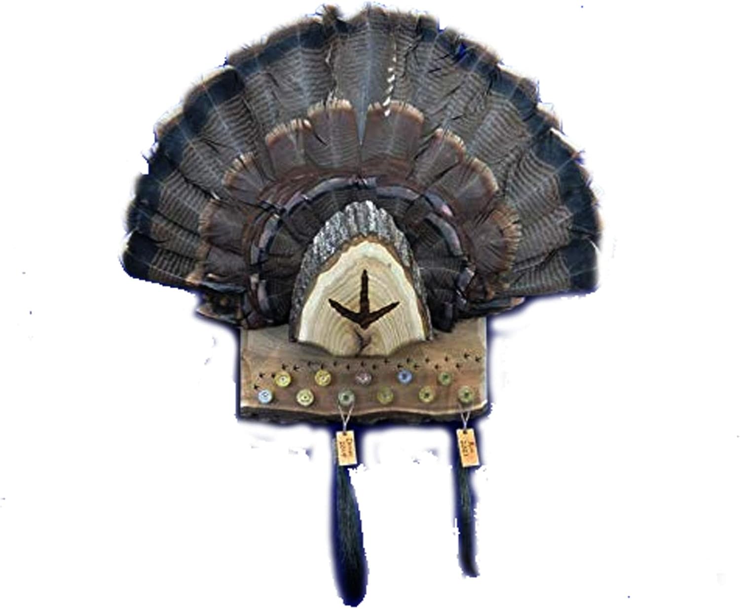 Turkey Fan Plaque/Turkey Mounting Kit/Turkey Hunting Turkey Fan and Beard Mount/Turkey Fan Mount And Display Kit/One Of A Kind Turkey Fan Mount Turkey Fan And Wing Mount