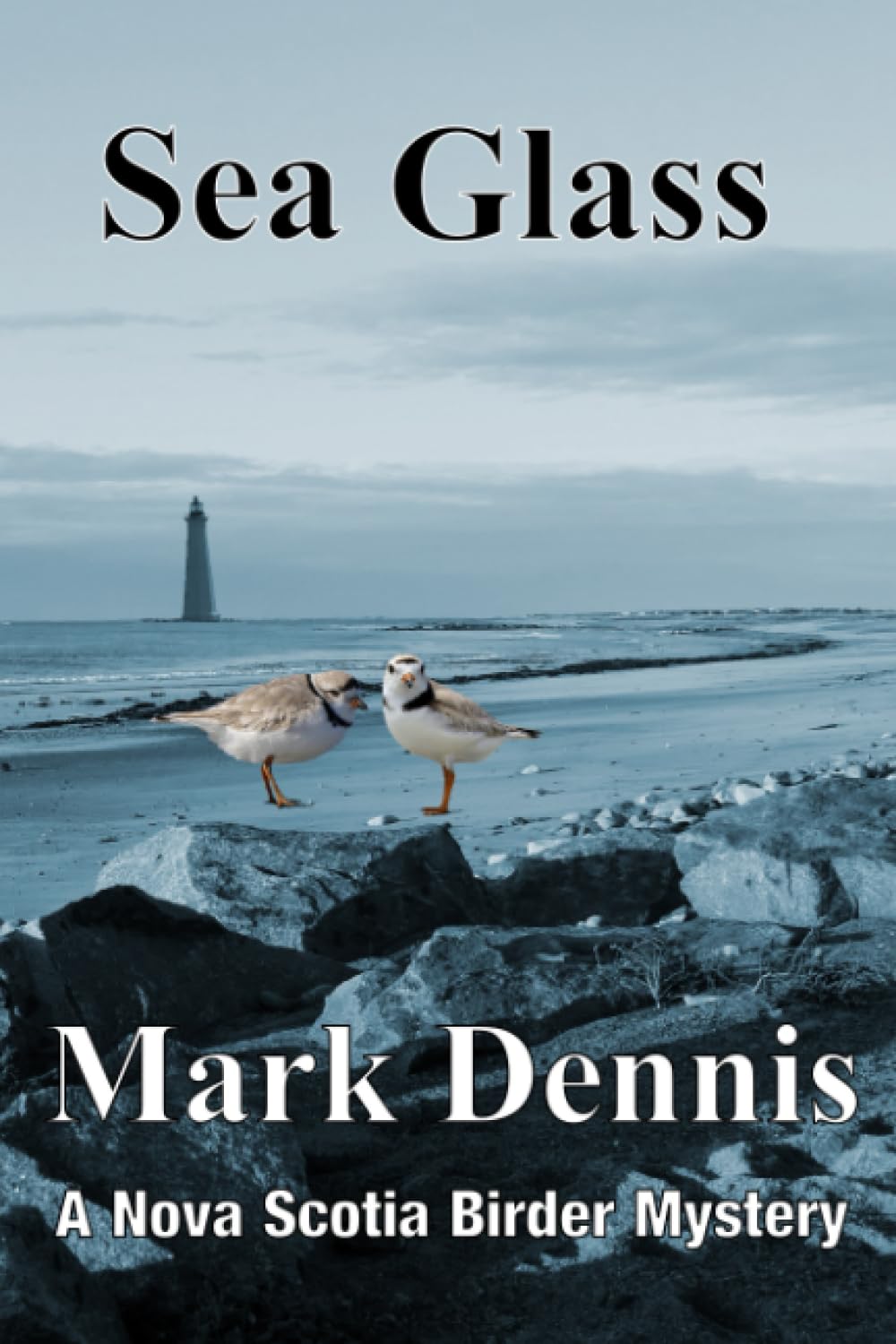 Sea Glass: A Nova Scotia Birder Mystery (Nova Scotia birder-murder mysteries)