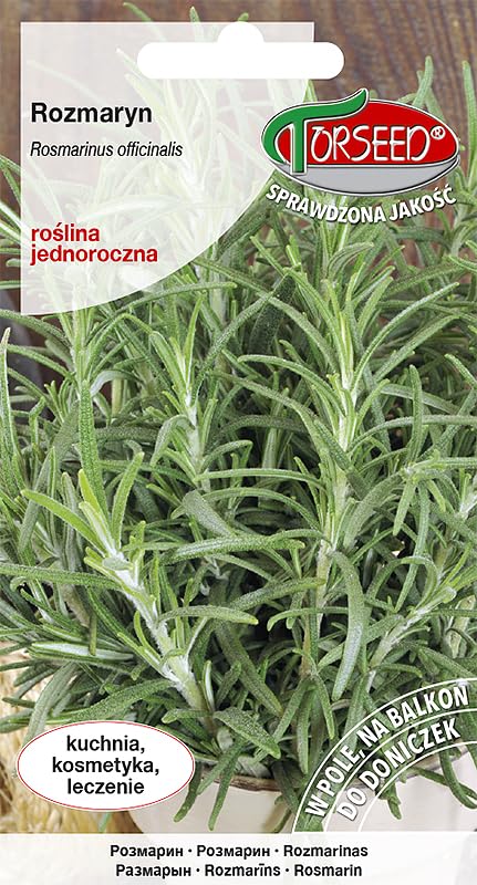 Verdica Semillas de romero Rosmarinus officinalis: especias aromáticas para cocina, perfectas para macetas y jardines, prospera al sol, 40-60 cm de distancia, beneficios de conservación natural (0,1