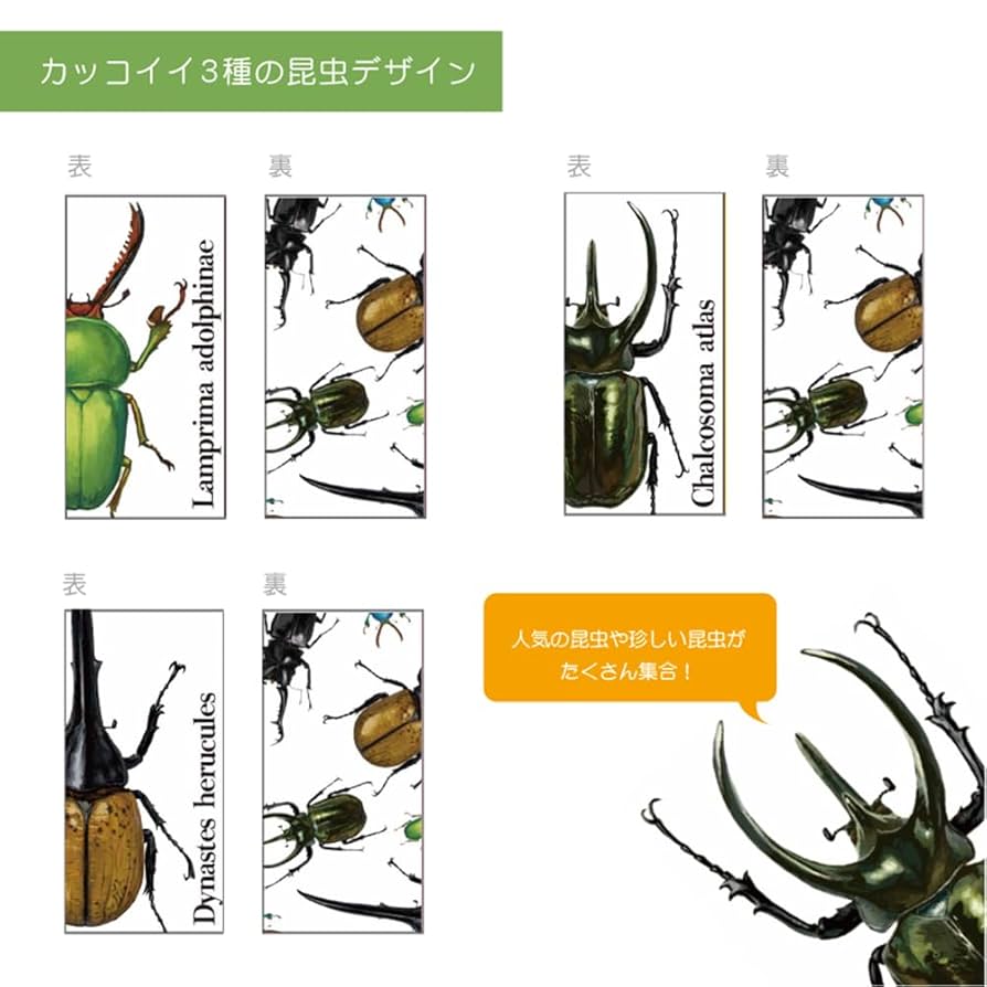 消しゴ虫　です 消しゴ虫 です シークレット消しゴム 昆虫ずかん ｜ ミスター