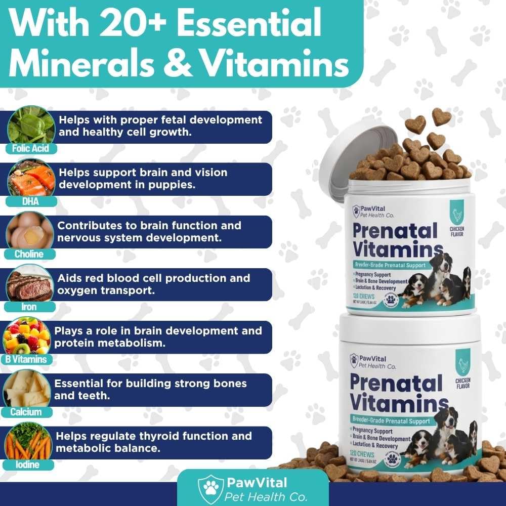 Dog Prenatal Vitamins for Pregnant & Nursing Dogs – 120 Soft Chews with Folic Acid, DHA, Choline, Iron & Calcium – Prenatal Multivitamin Supplement for Puppy Development, Pregnancy & Lactation Support — Amazon image 3