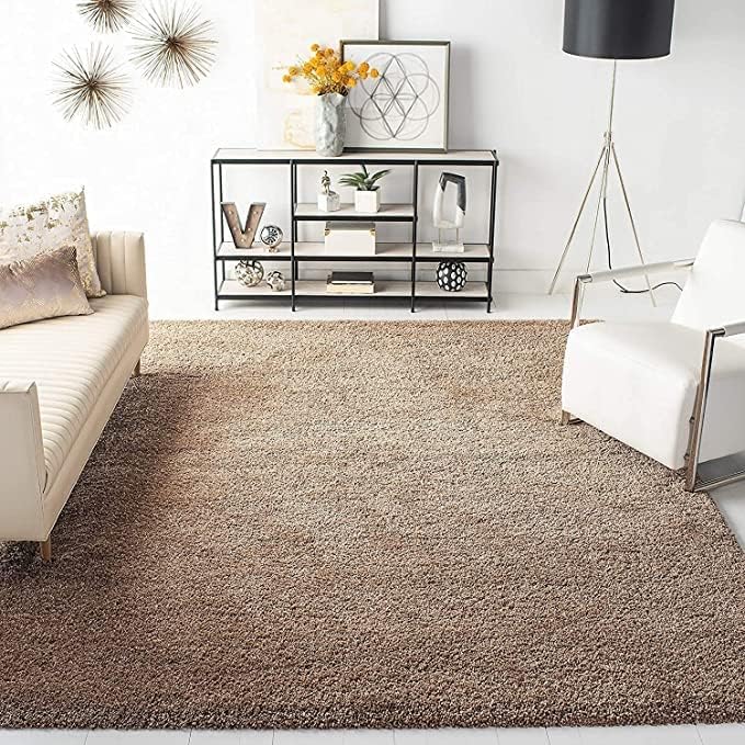Image of F & B Rugs Firoz and Brothers Carpet for Living Room 9x12 feet