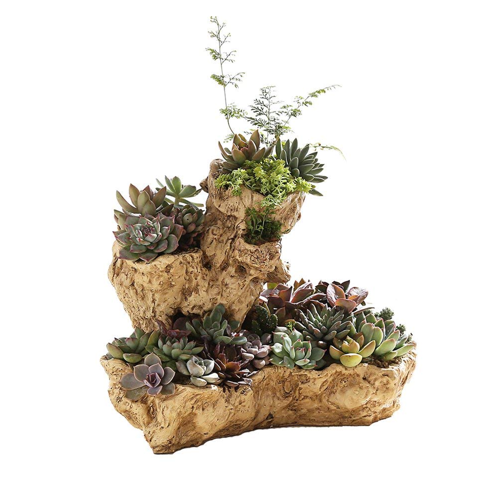 Pot de Fleurs Simulation Arbre Racine Plante Succulente Pot Jardin Plantation Pots Jardin Botanique Extérieur Beau Jardin Fleur DIY Pots