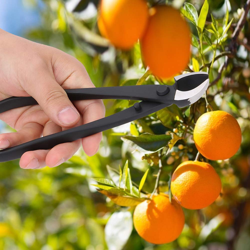 Oumefar 8, 1 Zoll Manganstahl Manueller AST Konkavschneider Garden Bonsai Cutter Tool Astschneider Scharfe Klinge Konkave Wurzelschneider mit runder Kante