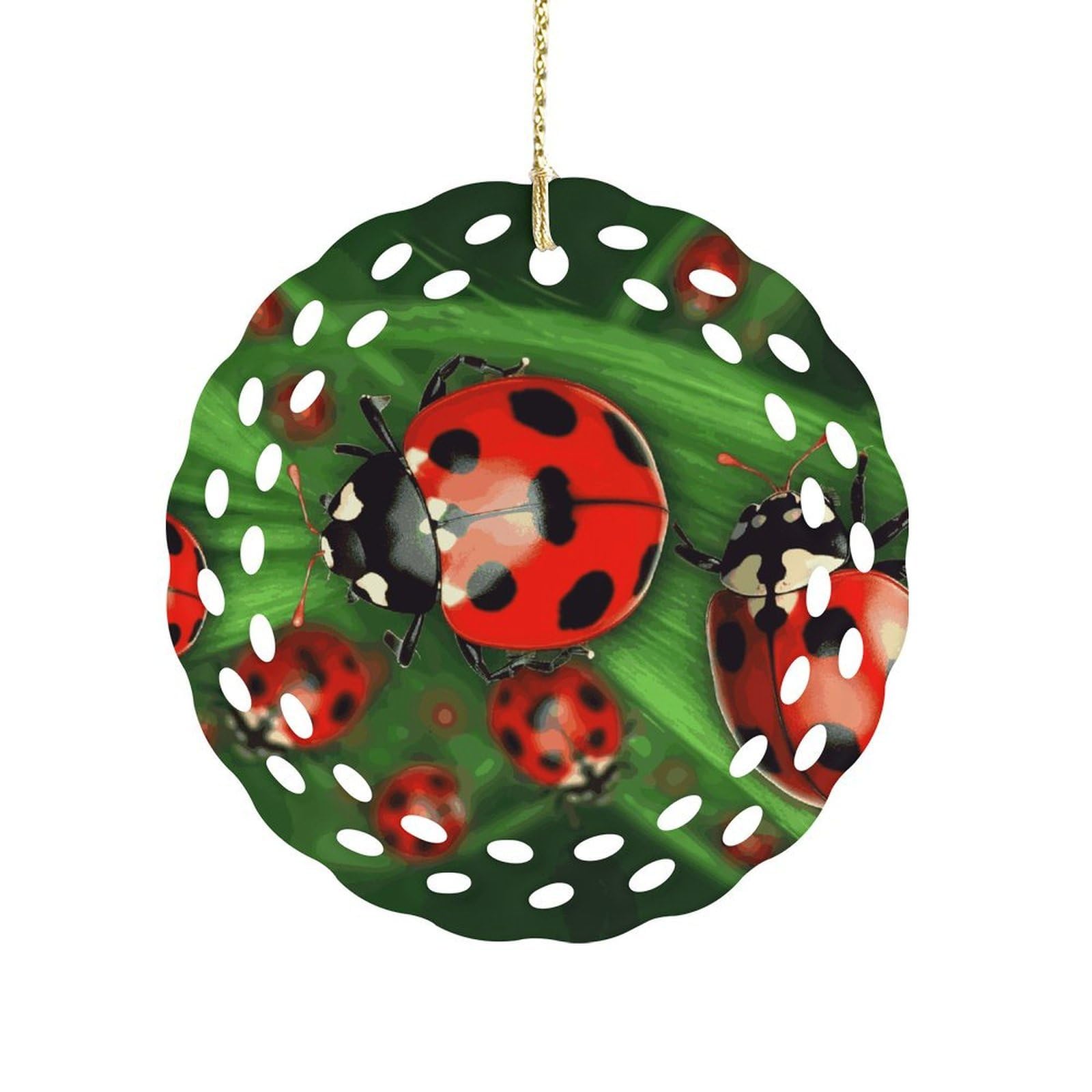 Wsoihfec Women's Style Red Ladybug Hanging Ornament 3 Inch Round,1-Pack,Xmas Decor -Two-Sided Printed,Friend Ornament Gifts For Friends Coworker Sisters