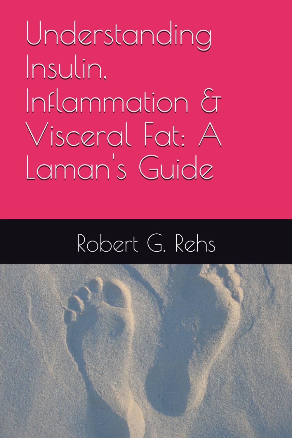 Understanding Insulin, Inflammation & Visceral Fat: A Laman's Guide (Reversing Chronic Disease and Illness:A Laymans Guide)