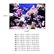 Aquarium Hintergrund HD Ocean Marine Coral Wallpaper 3D Effect Aufkleber Unterwasserwelt Hintergrund Dekoration für Aquarium (61 x 41 cm)
