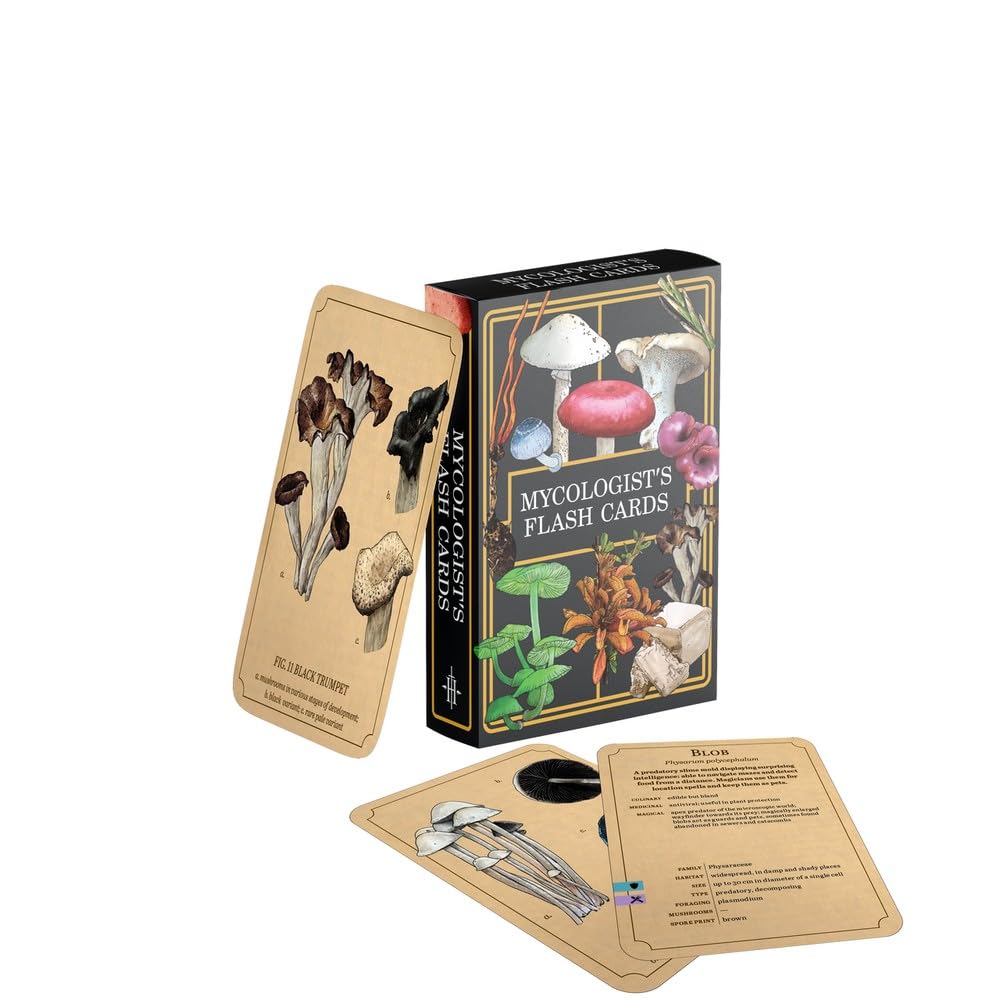 Ultimate Guard: Portfolio – XenoSkin Zipfolio 360 – MTG: Lorwyn Eclipsed – Plains