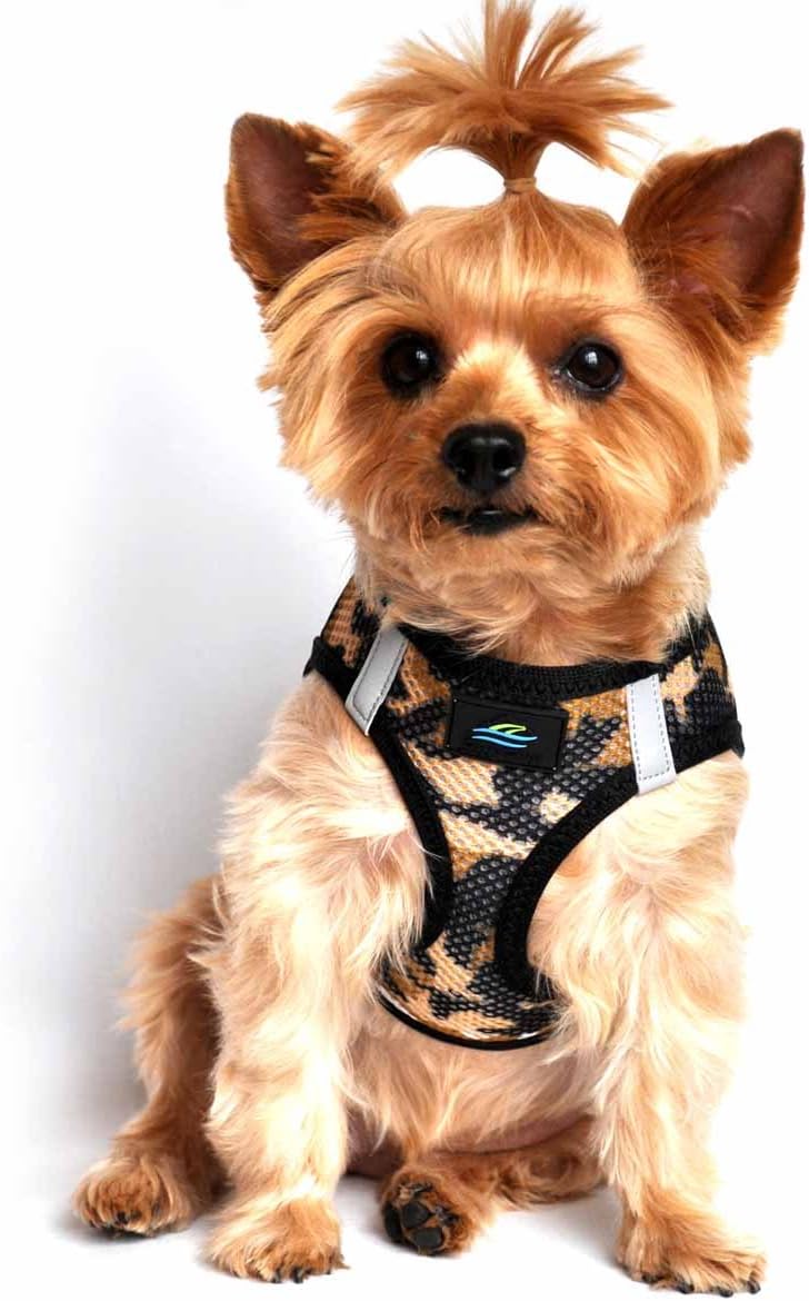dog harness design