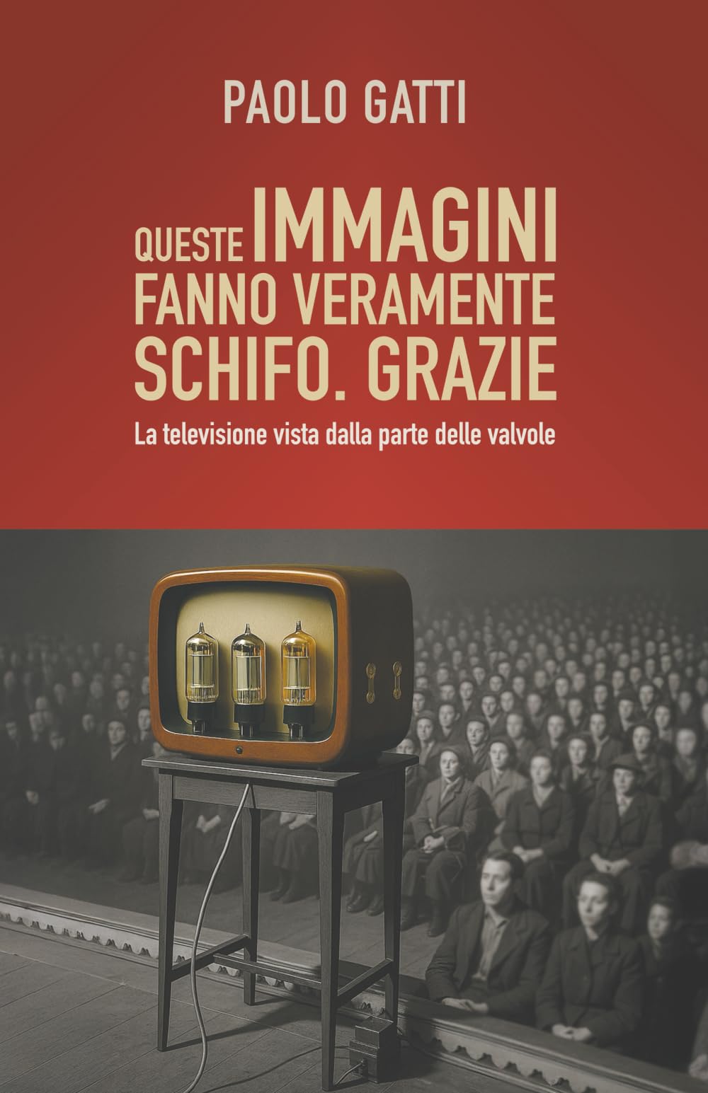 Queste immagini fanno veramente schifo. Grazie: La televisione vista dalla parte delle valvole