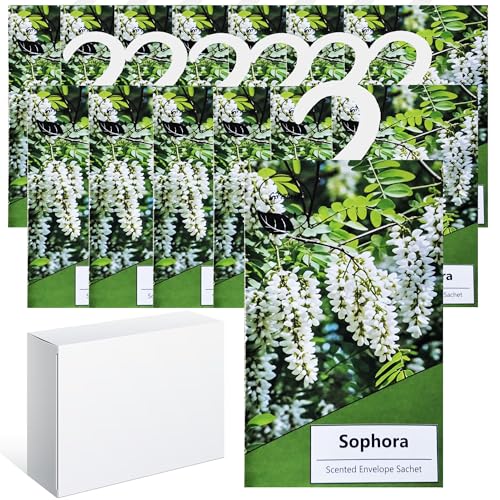 14PCS Saquitos Armario ambientador Lavanda, Perfumador Ropa, Ambientador Armario Ropa Limpia, Bolsa Guardarropa, Hogar Saquitos Armario Ropa, Bolsita Refrescador para Coche, Zapater (Sophora)