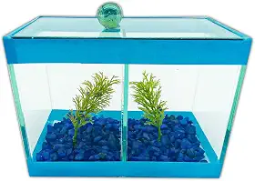 Aquário Beteira Dupla Decorado 17x9x13 1,9L 2 Peixes Betas (Azul)