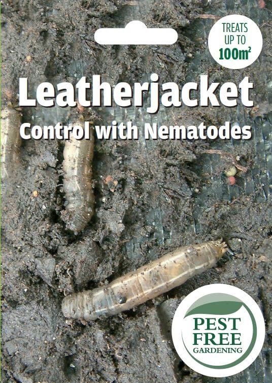 Pest Free Gardening Natural Leatherjacket Grub Nematodes Killer | Kills Daddylong Leg Grubs | Safe for Wildlife, Pets & Kids | (Treats 100sqm)
