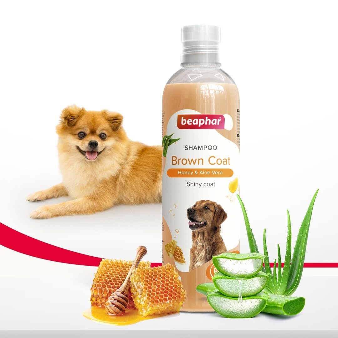 Beaphar Brown Coat Dog Shampoo with Honey and Aloe Vera | Herbal Shampoo for Dogs- 250 ML (B0D22SVQSV) Amazon Price History, Amazon Price Tracker