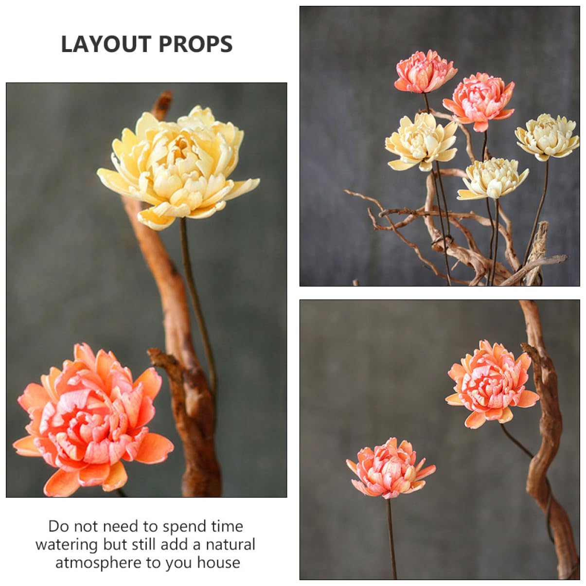 Alipis 6pièces Bouquet Décoratif Naturel Séché De Fleurs Préservées pour Décoration Intérieure Artisanat Ambiance Naturelle pour Maison Et Événements