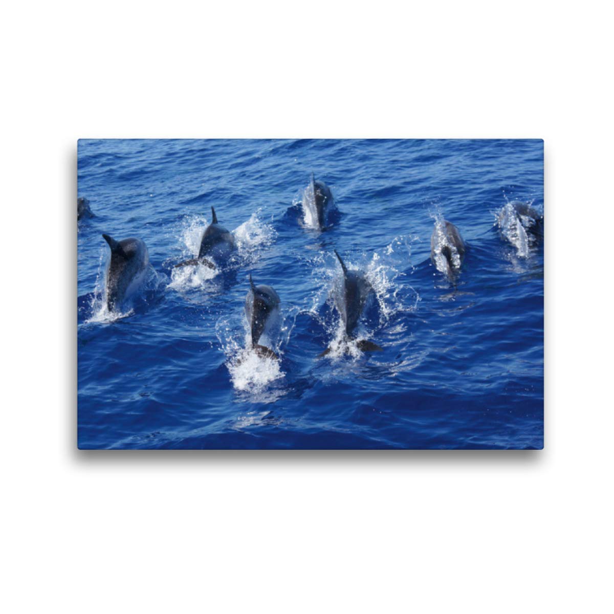 CALVENDO Madeira 2019 - Familienplaner hoch