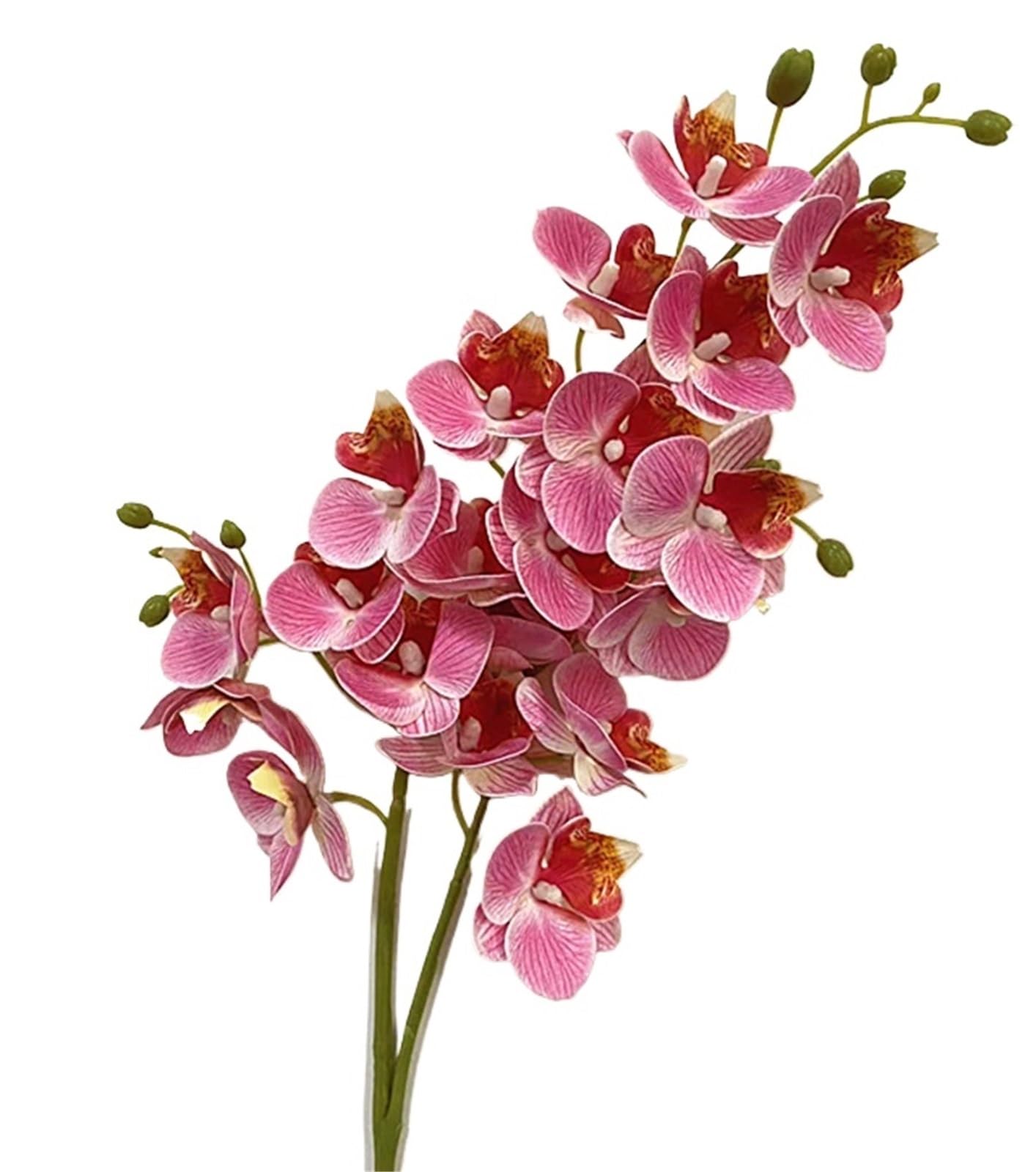 GMGQJST Artificial Orchid One Latex Butterfly Orchid Flowers