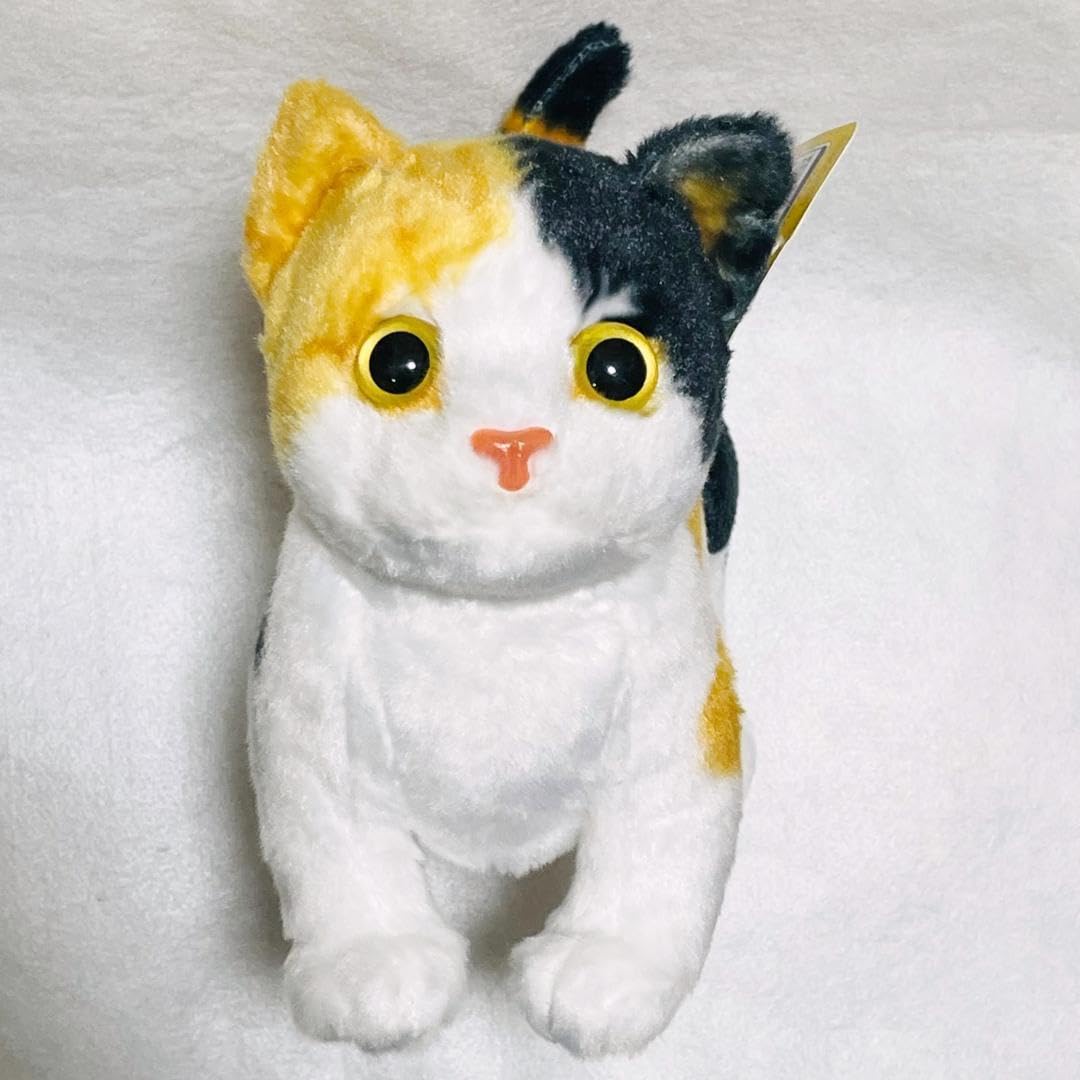 猫のぬいぐるみ3体セット 猫のぬいぐるみ3体セット ねこ ぬいぐるみ ディスプレイセット