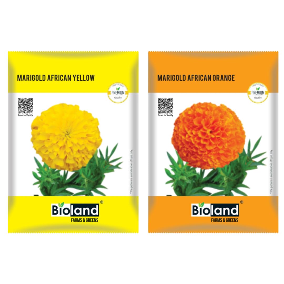 BIOLAND African Marigold Seeds Combo | Yellow Marigold and Orange Marigold Seeds Combo for sowing purpose for Kitchen/Home Gardening (Genda Phool ke Beej) | Pack of 2 (B0CCYC13LB) Amazon Price History, Amazon Price Tracker