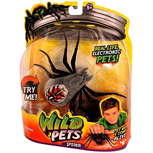 Wild Pets Spider - Wolfgang