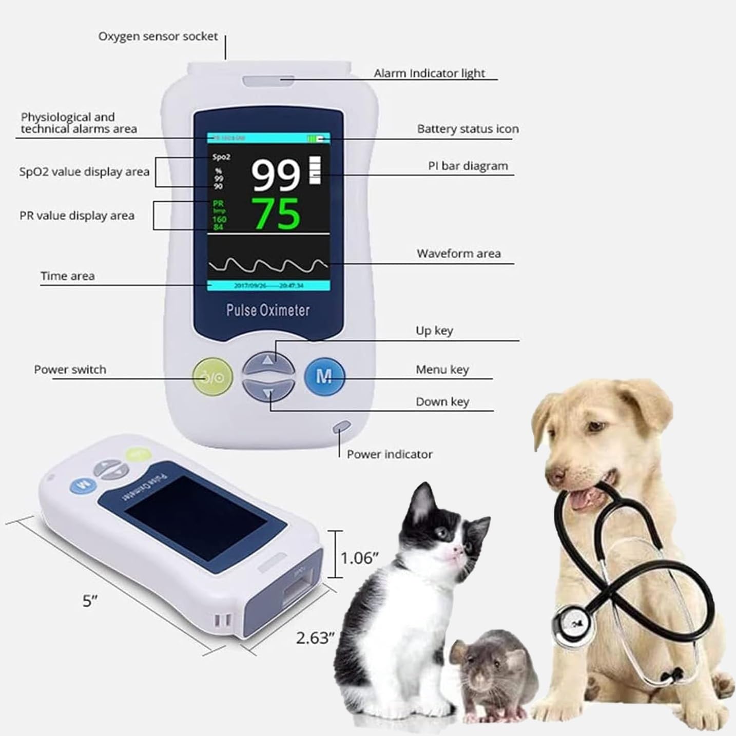 Pulsossimetro veterinario portatile, monitor della frequenza cardiaca for animali domestici con sonda e cavo USB, sensore SPO² for orecchio/lingua con display da 2,4 pollici, for gatti, cani e piccoli