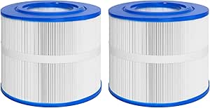 Bullfrog Spa Filter Replacement 2-Pack - Compatible With Pleatco PBF40, Wellspring 10-00282-774344