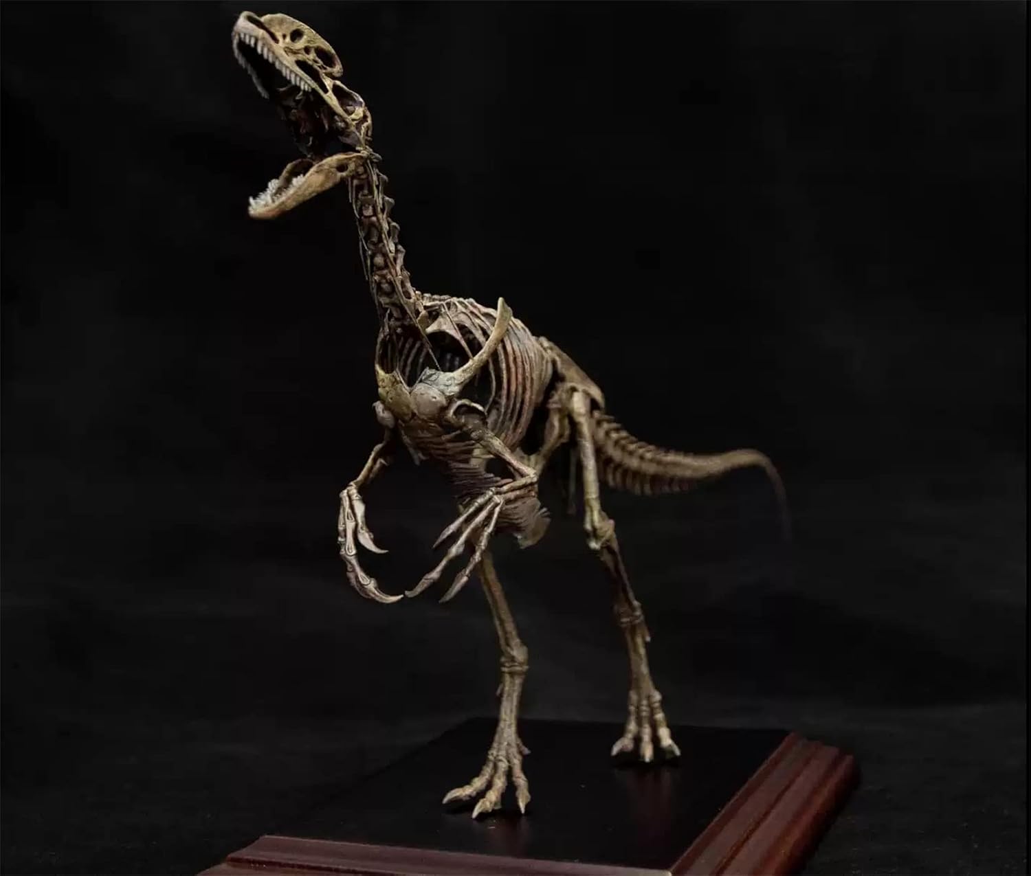 VWUVWU 1:10 Scale Guanlong Wucaii Figure Dinosaur Skeleton Resin Animal Model Collector GK Decor Gift for Adult